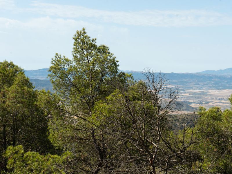 Fotografía del Rincón de los Carranzas, tomada para el proyecto